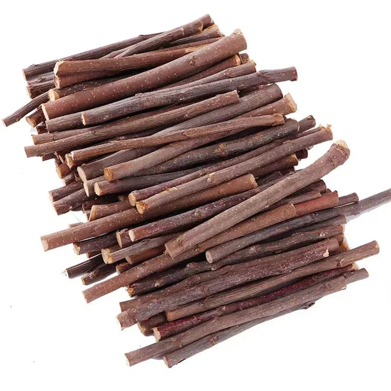Bâtons de Mâche en Bois de Pommier Naturel pour Petits Animaux
