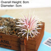 Artificial Succulent Bonsai Plant for Home Decor