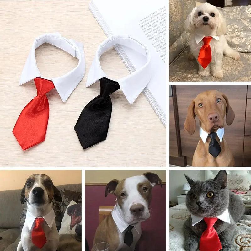 Corbata y Pajarita Formal para Mascotas