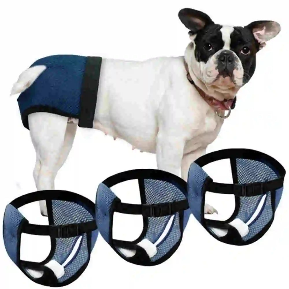 Reusable Washable Dog Diapers with Absorbent Pads for Female Dogs in Heat