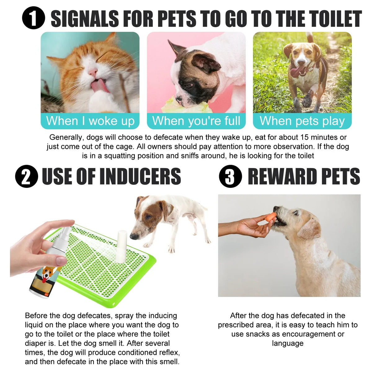 Pet Potty Training Spray for Dogs and Cats