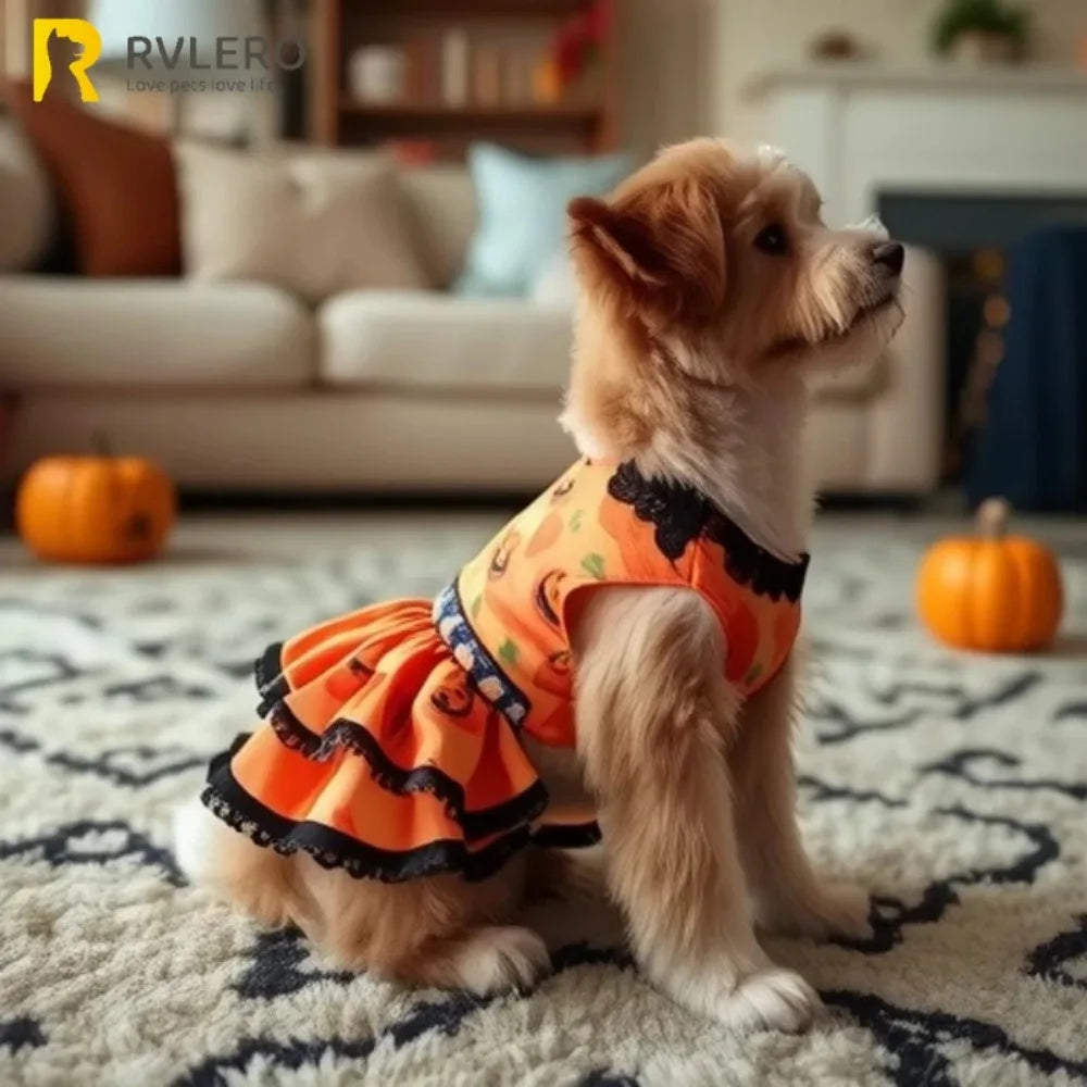 Pumpkin Lace Dog Dress for Small Dogs