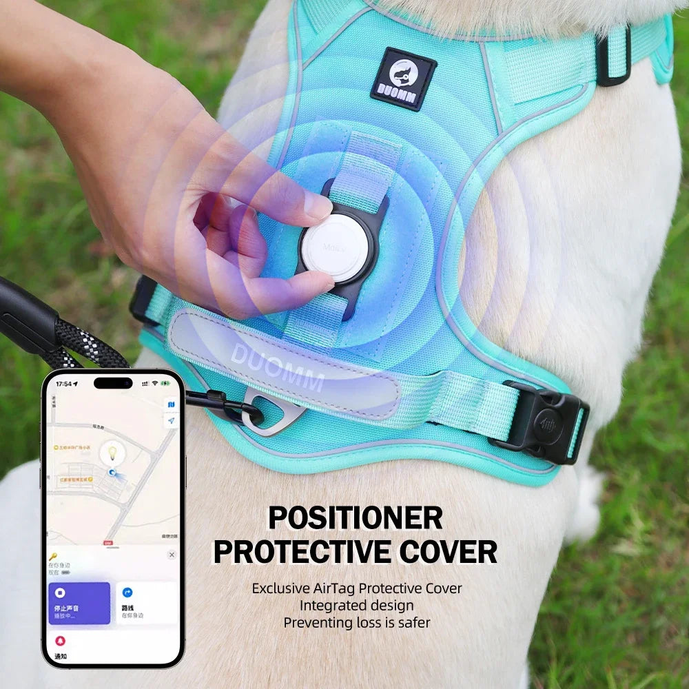 A dog wearing a blue harness with an AirTag protective cover and a smartphone displaying tracking information.