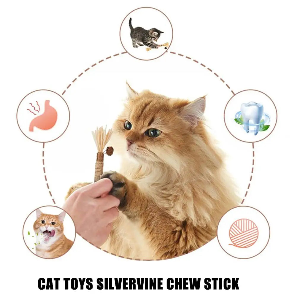 Cat Dental Care Chew Stick with Silver Vine