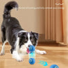 Interaktiver smarter Hundespielball
