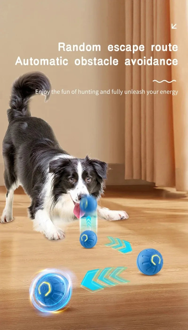 Interaktiver smarter Hundespielball