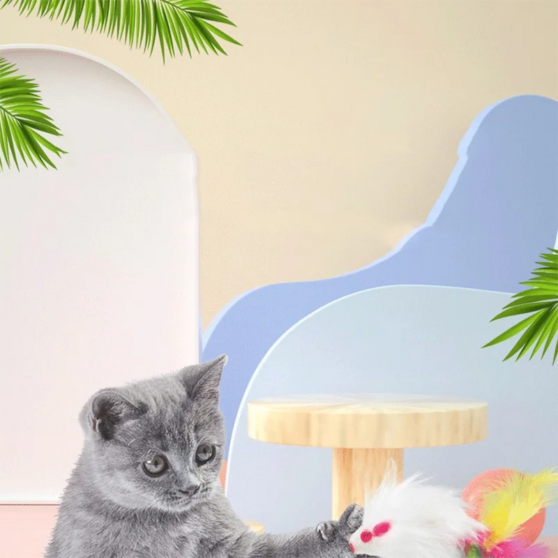 Ensemble de Jouets Interactifs pour Chats avec Plume et Souris en Peluche