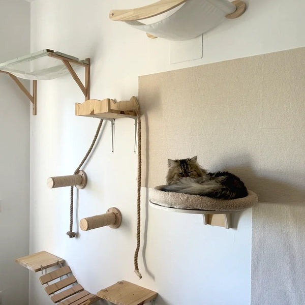 Wooden wall-mounted cat shelves with a climbing set featuring multiple wooden branches and rope for a cat
