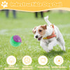 Squeaky Dog Balls (6-Pack) – Durable TPR Chew Toys for Interactive Play