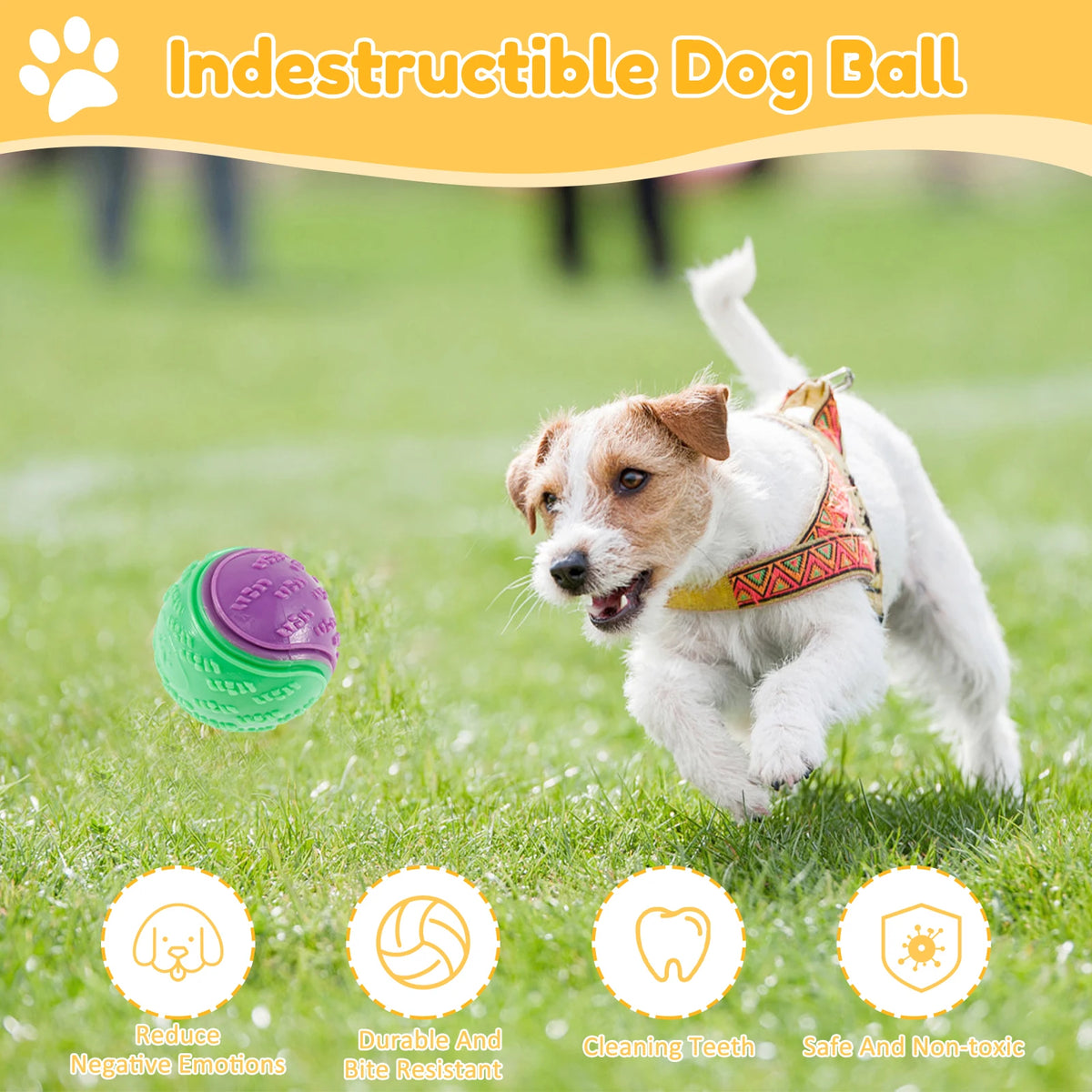 Squeaky Dog Balls (6-Pack) – Durable TPR Chew Toys for Interactive Play