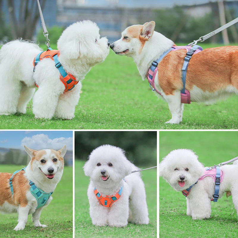 Atmungsaktives Hundegeschirr aus Mesh mit reflektierender Weste