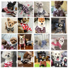 Summer Dog Polo Shirt With Stripe Cooling Vest