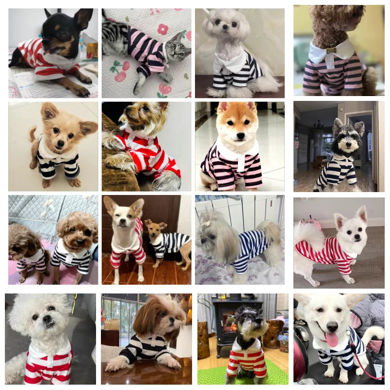Summer Dog Polo Shirt With Stripe Cooling Vest