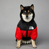 A fluffy black and white dog wearing a black and red winter coat with the The Dog Fans logo.