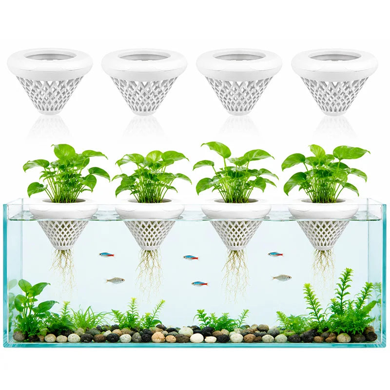 Two white floating aquarium plant holders with suction cups and various aquatic plants