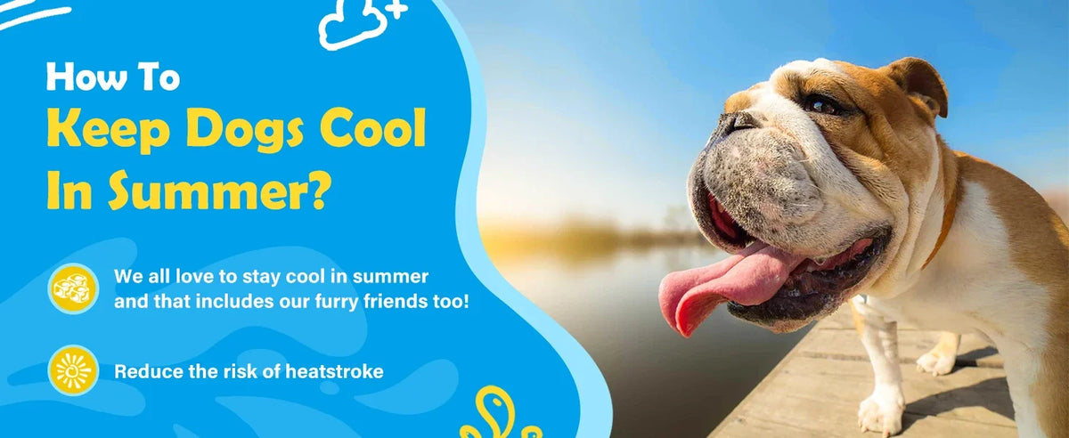 Anti-Slip Dog Splash Pad with Sprinkler for Summer Water Play