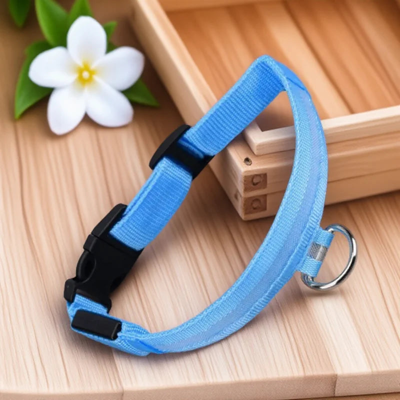 A bright blue reflective LED dog collar with a black buckle is displayed on a wooden surface.