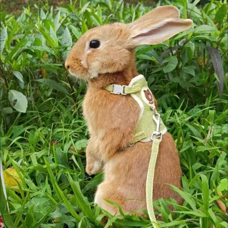 Adjustable Linen Rabbit Harness and Leash Set with Padded Comfort