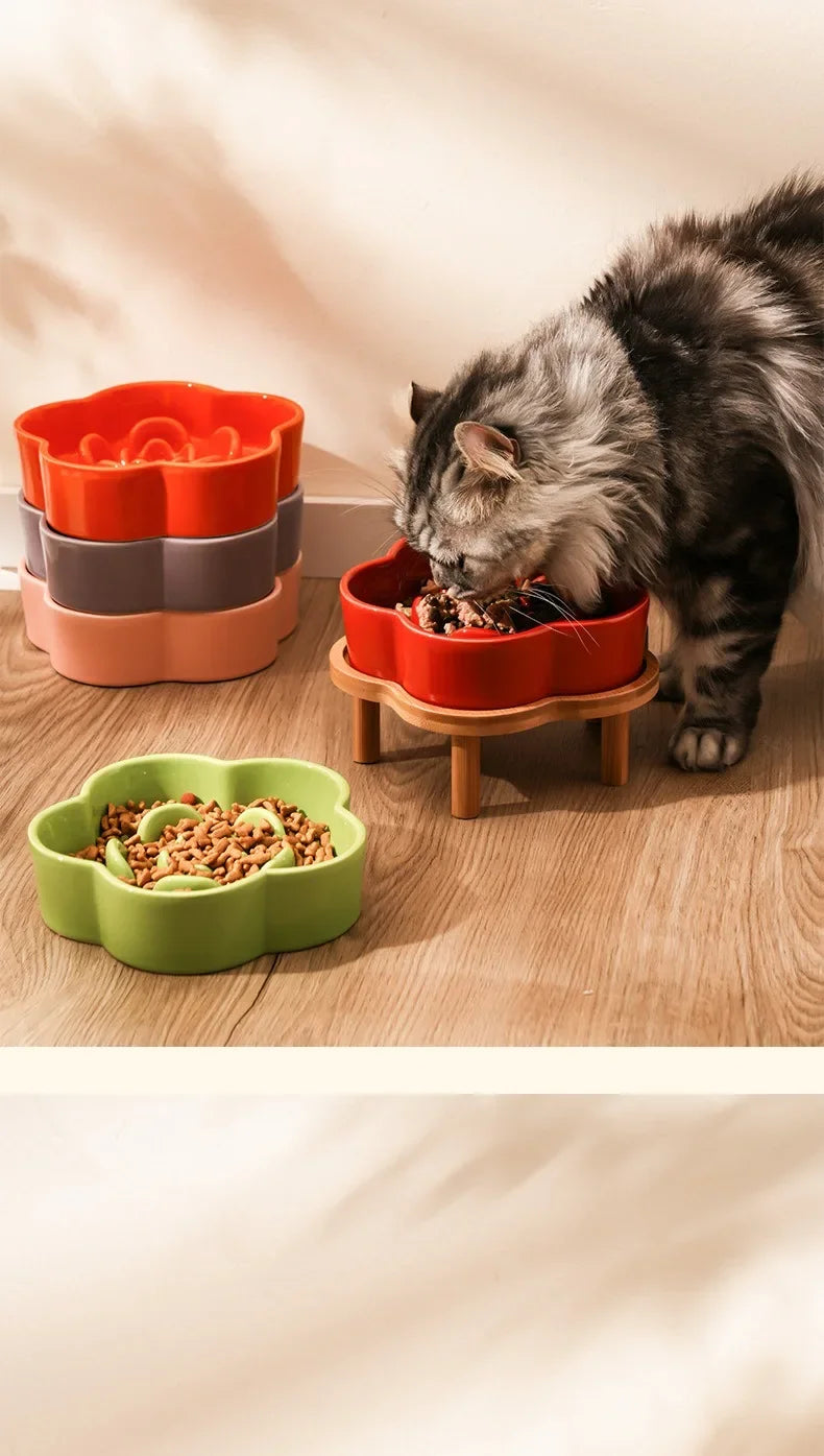 Ceramic Slow Feeder Bowl for Cats and Small Dogs
