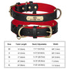 Personalisiertes Leder-Hundehalsband mit graviertem ID-Tag