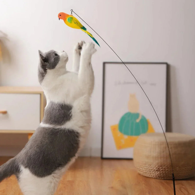 Jouet Interactif pour Chat en Forme de Paon avec Clochette