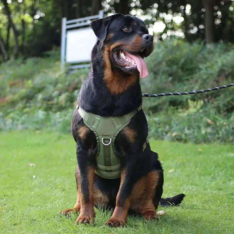 A black and tan dog wearing a green heavy-duty no-pull harness and attached to a leash, sitting on green grass.