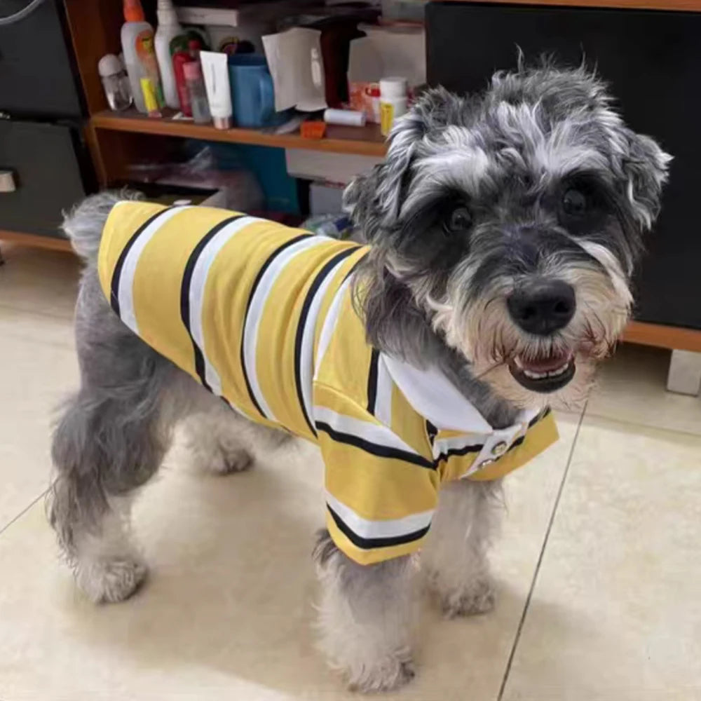 Classic Stripe Polo Shirt for Small Dogs