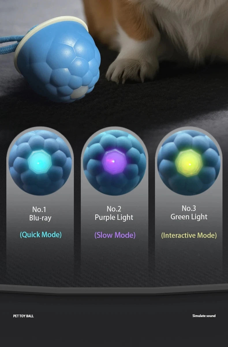 A pet toy ball with three modes: Blu-ray, Purple Light, and Green Light.