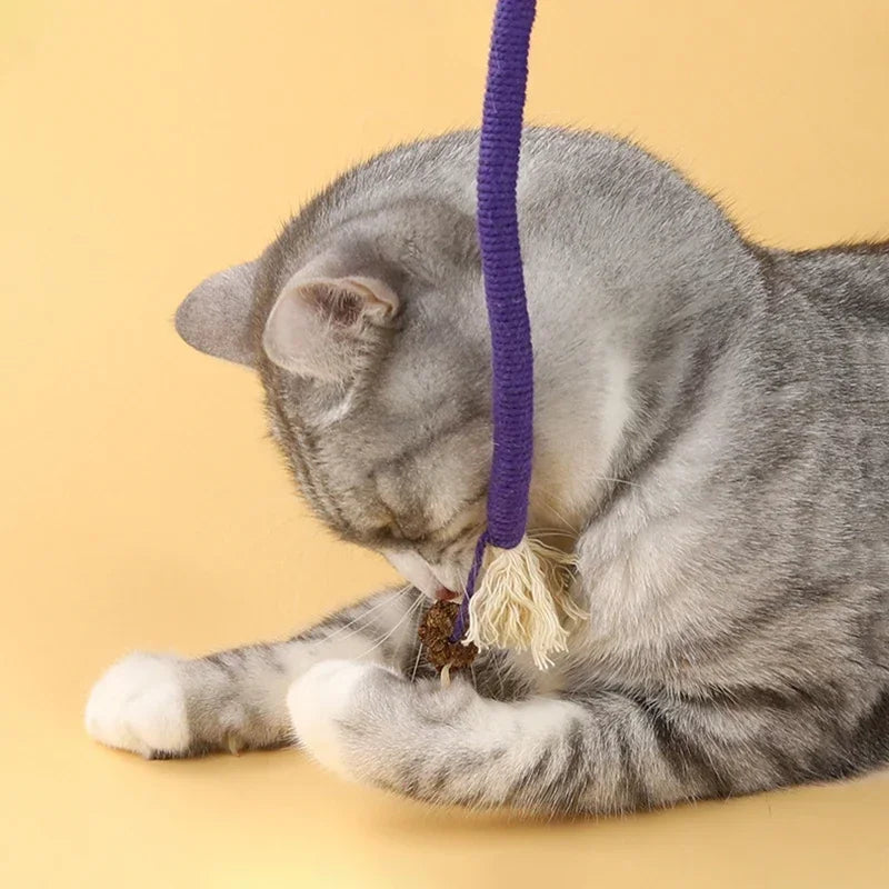 A gray cat is playing with a purple silvervine-infused cotton rope teaser toy.