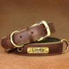 Personalisierte gepolsterte Leder-Hundehalsband mit graviertem Namensschild