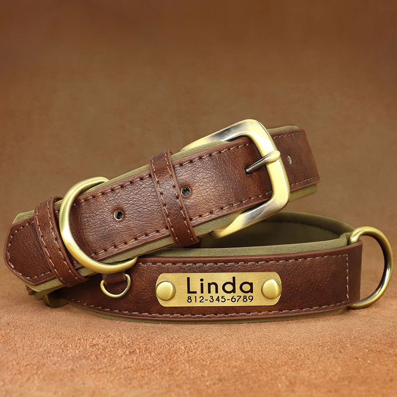 Personalisierte gepolsterte Leder-Hundehalsband mit graviertem Namensschild