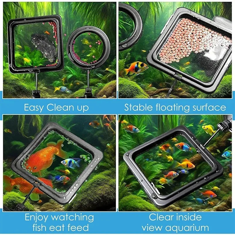 Aquarium Floating Fish Feeding Ring with Suction Cup