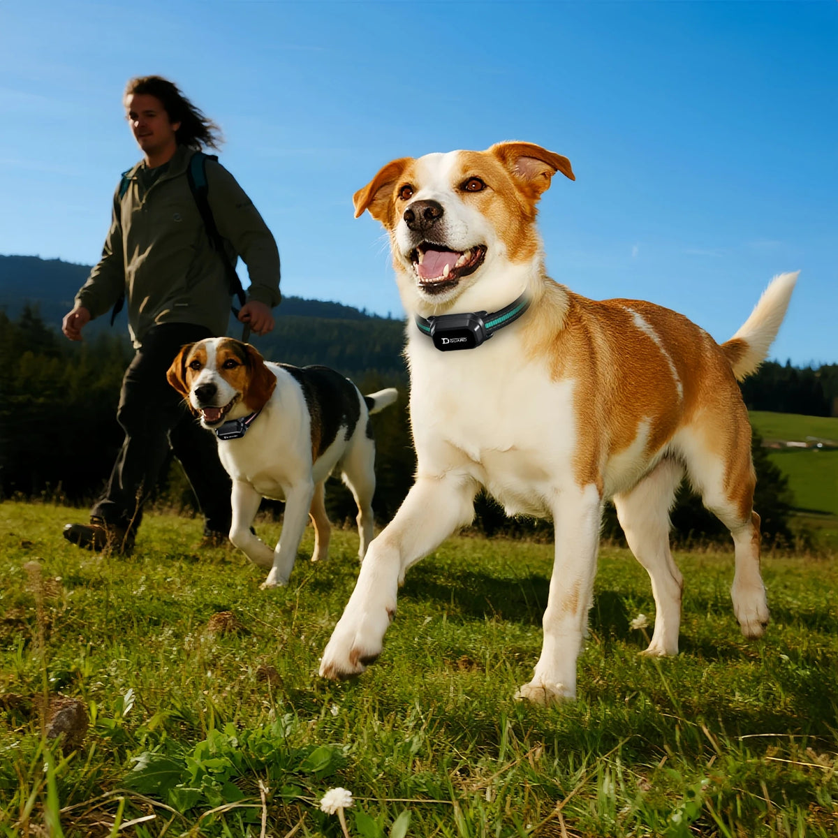 Remote Dog Training Collar with Vibration and Static Stimulation