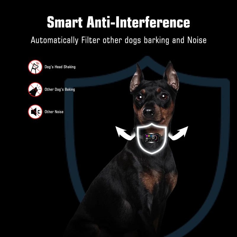 Collier Anti-Aboiements Rechargeable pour Chien