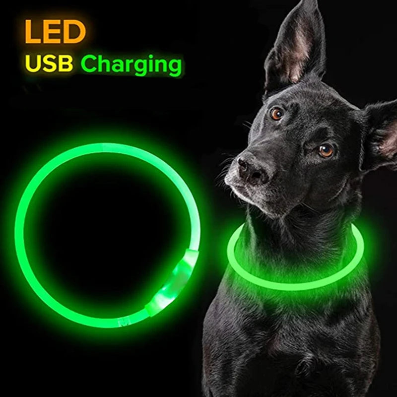 Rechargeable LED Dog Collar with USB Charging