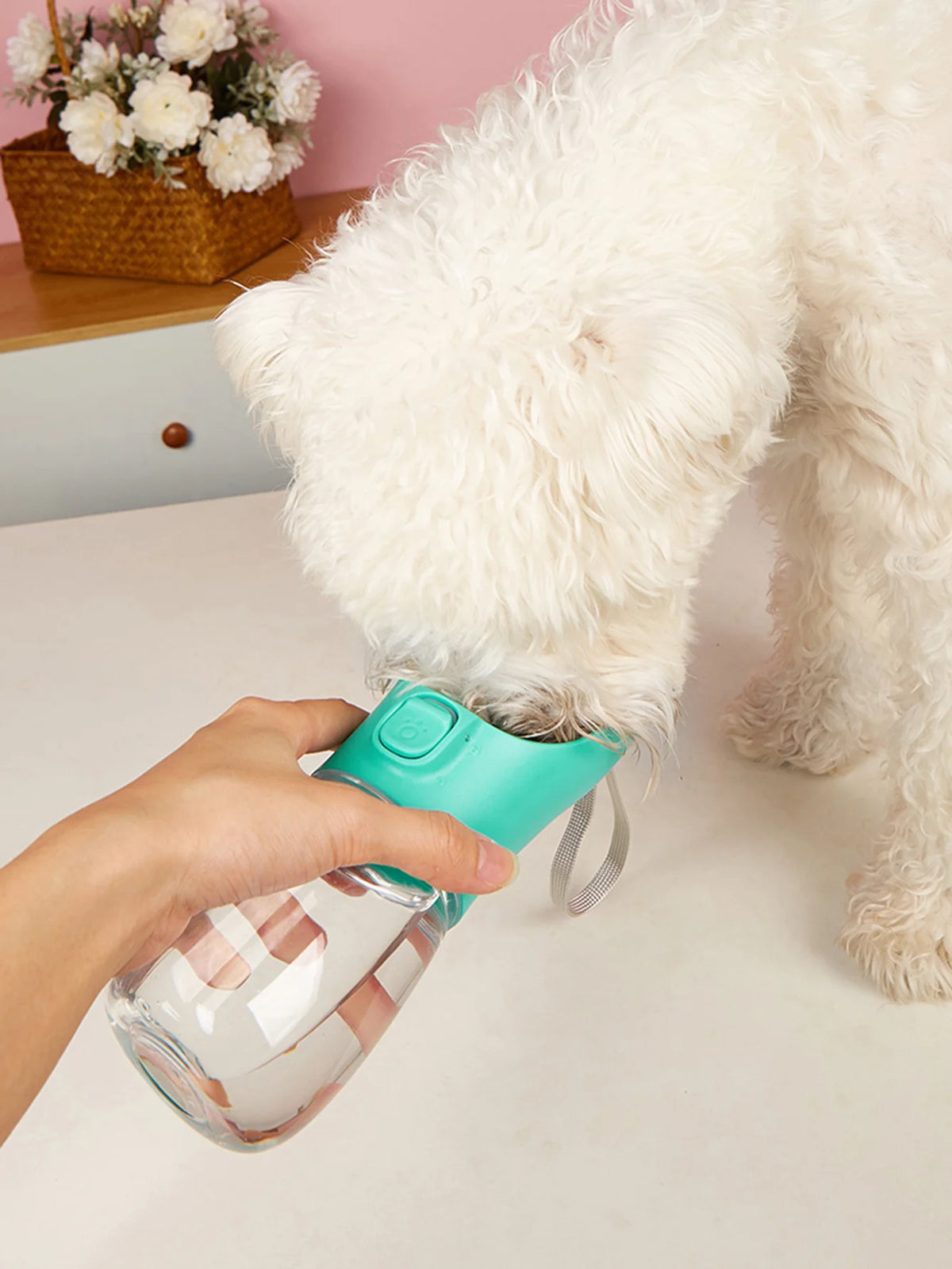 Portable Leakproof Dog Water Bottle with Built-In Drinking Bowl