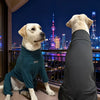 Cozy High-Collar Dog Pajamas – Four-Legged Sleepwear for Large Breeds