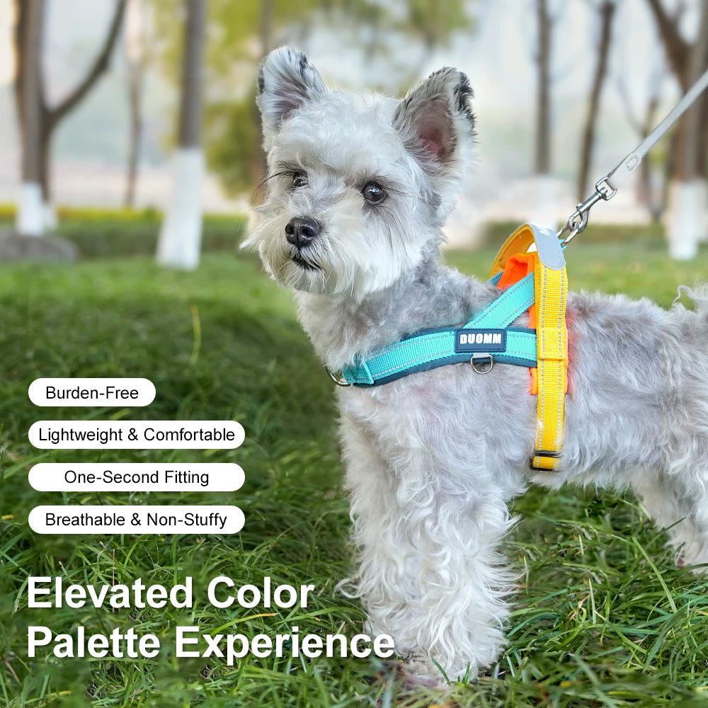 A fluffy gray dog wearing a bright yellow harness outdoors in a grassy area.