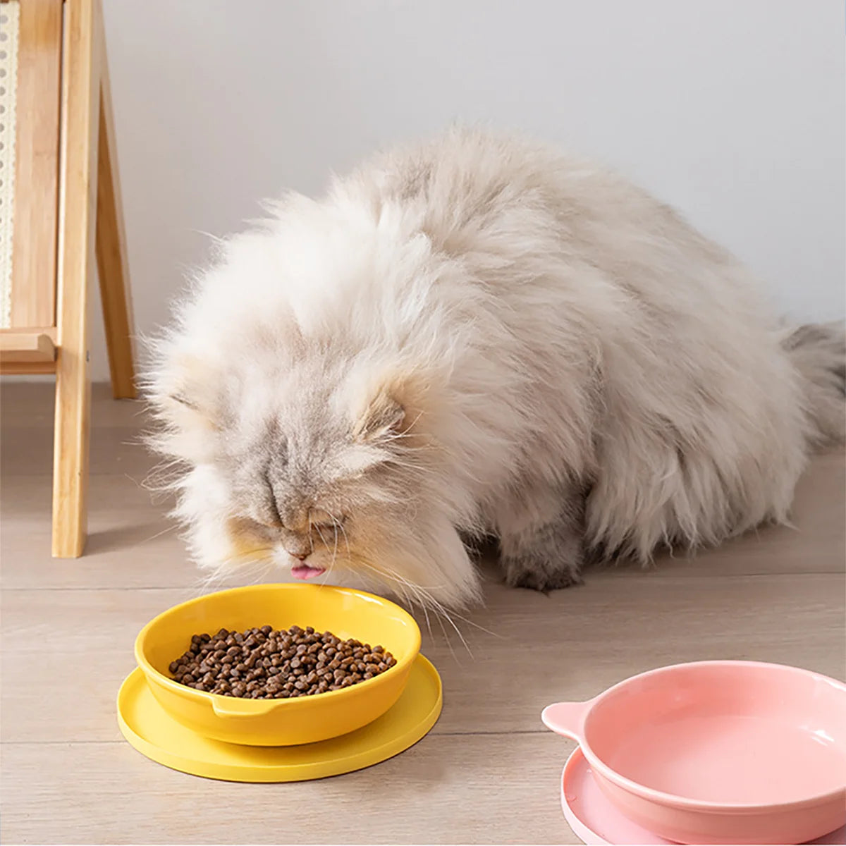 Waterproof Silicone Pet Feeding Mat for Cats and Dogs
