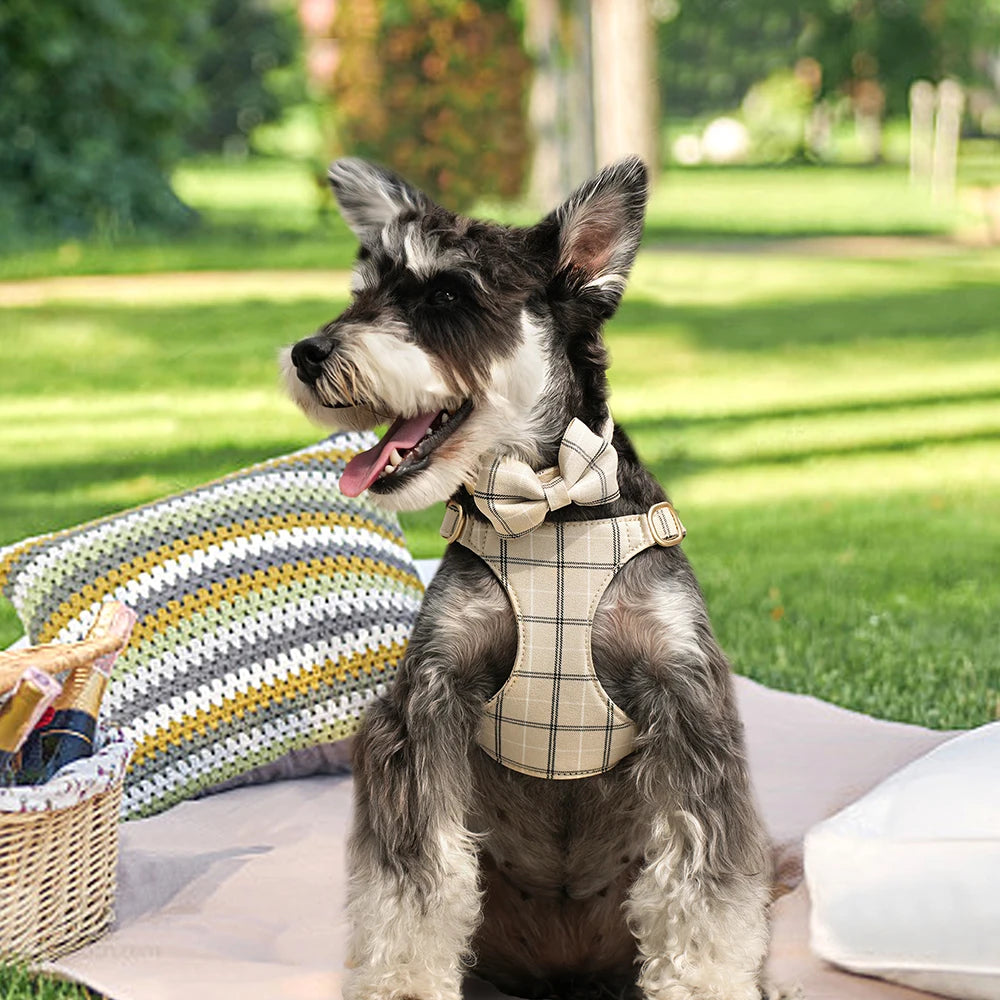 Classic Plaid Dog Collar, Harness & Leash Set with Bowtie