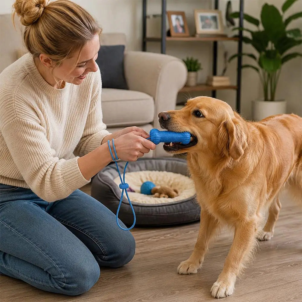 A woman is playing with a golden retriever dog using a blue TPR chew toy and strap.