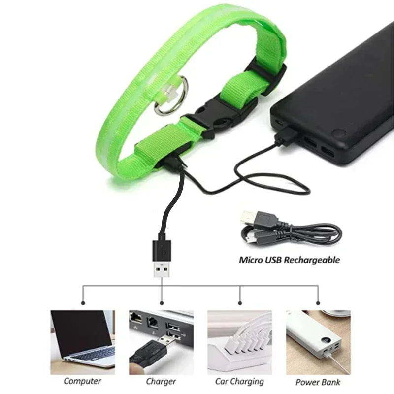 USB-aufladbarer LED-Hundehalsband für Nachtsicherheit