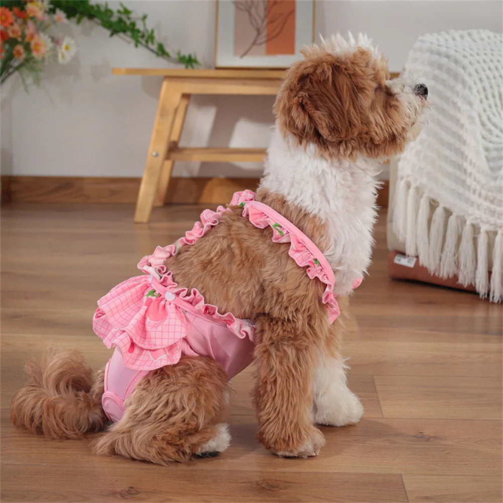 Cute Printed Reusable Dog Diaper Pants for Small Breeds