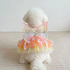 Rainbow Butterfly Tutu Dress for Small Dogs and Cats