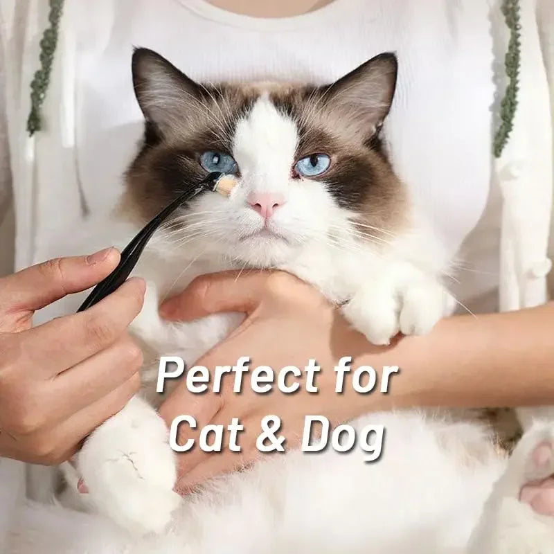 A fluffy brown and white cat is being gently held by a person, demonstrating the Pet Tear Stain Remover Brush for Dogs and Ca