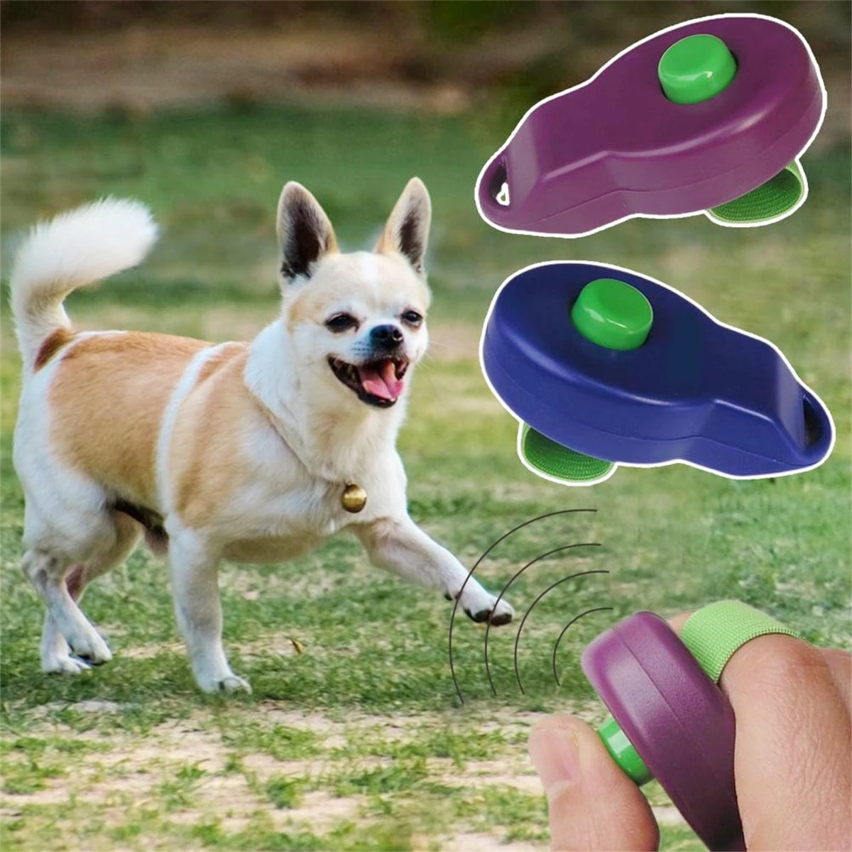 A small dog stands next to purple and green training clickers, with one being held by a finger band.