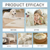 Plant-Based Pet Odor Eliminator Spray – Citrus & Green Tea