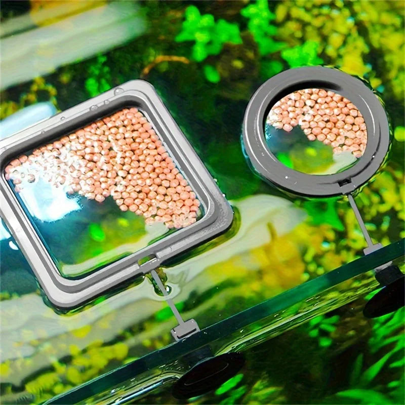 Schwimmender Futterring mit Saugnapf