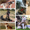 Tactical Dog Harness with MOLLE Pouches and Collar Set