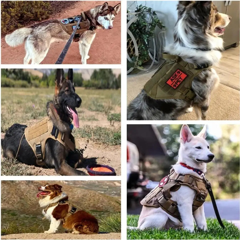 Tactical Dog Harness with MOLLE Pouches and Collar Set